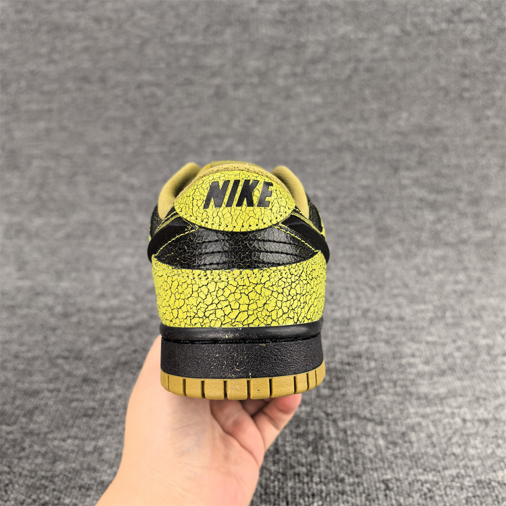 UA Nike Dunk Low QS